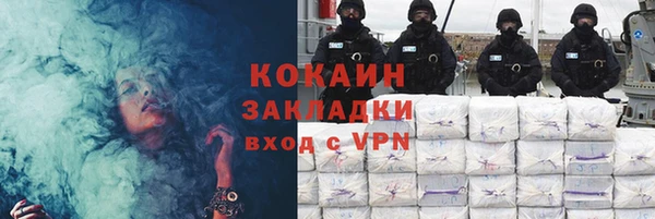 эйфоретик Няндома