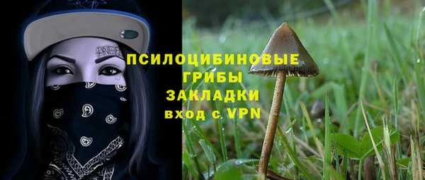 PSILOCYBIN Богданович