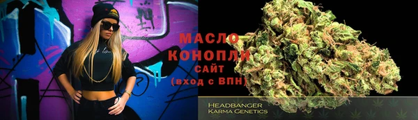 эйфоретик Няндома