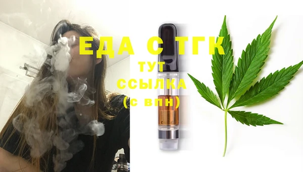 эйфоретик Няндома