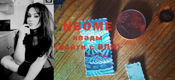 эйфоретик Няндома