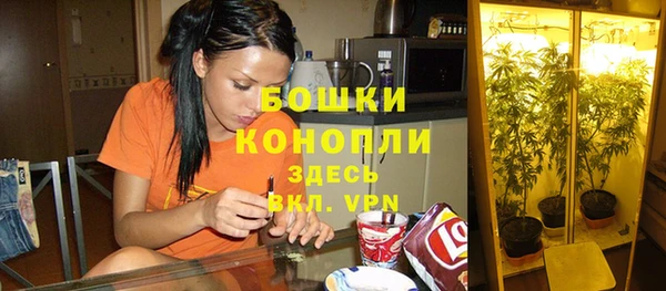 эйфоретик Няндома
