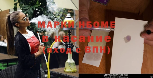 эйфоретик Няндома