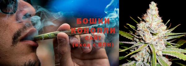 эйфоретик Няндома
