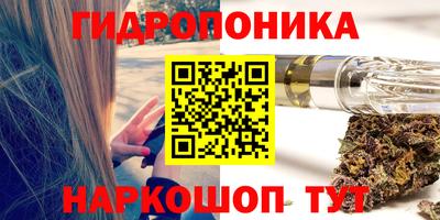 spice Гусиноозёрск