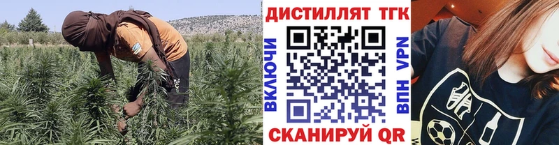 ТГК Wax  закладки  Тавда 