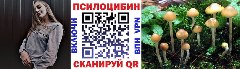 Псилоцибиновые грибы Psilocybe  цены   Тавда 