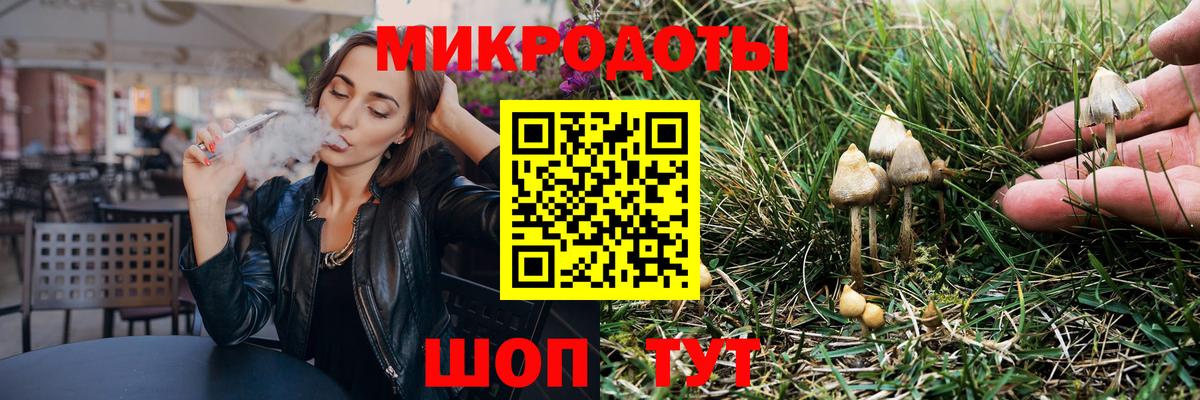 Псилоцибиновые грибы Psilocybe  Тавда 