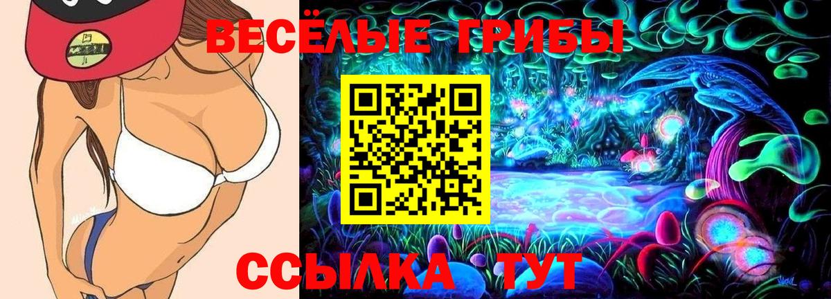 Тавда  Псилоцибиновые грибы Cubensis  Галлюциногенные грибы Cubensis  Вход с VPN 