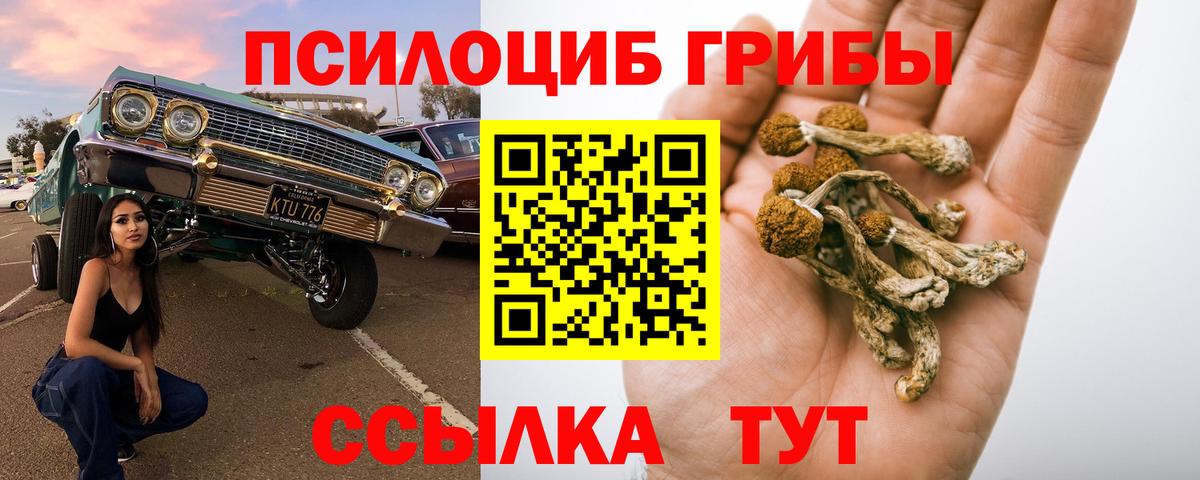 Псилоцибиновые грибы прущие грибы Тавда