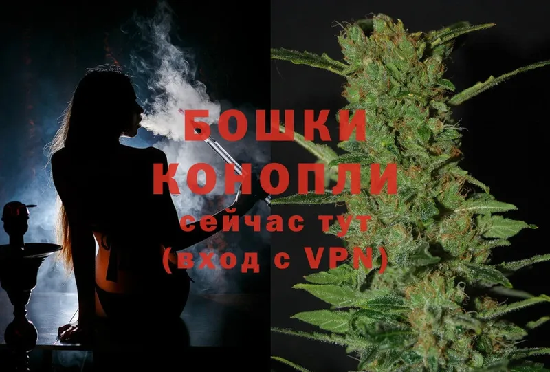 Бошки Шишки SATIVA & INDICA  где купить наркоту  Тавда 