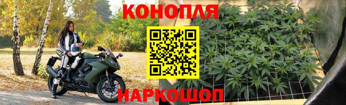 Марихуана план Тавда